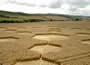 Crop Circles of 2007
