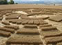 Crop Circles 2006